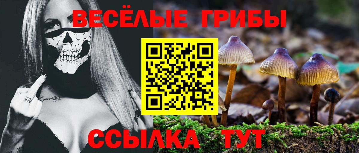 Галлюциногенные грибы Psilocybe  Галлюциногенные грибы Psilocybe  Богданович  Вход с VPN 